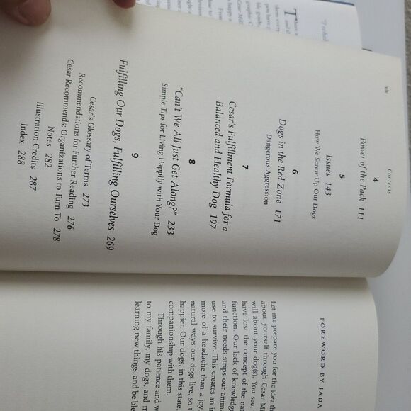 Cesars Way The Natural, Everyday Guide To Dog Cesar Millan & Melisa Jo Peltier - Picture 14 of 14